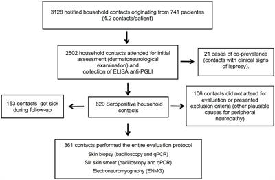 Early diagnosis of neural impairment in seropositive leprosy household contacts: The experience of a reference center in Brazil